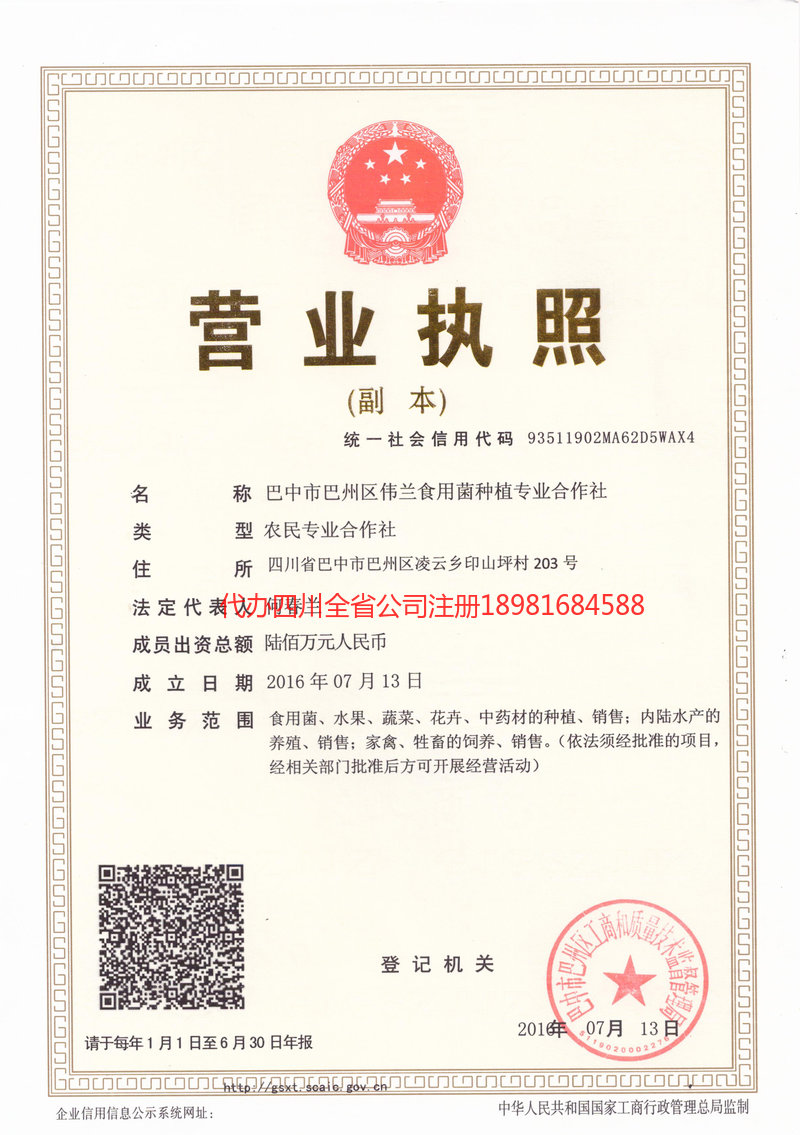 乌鲁木齐乌鲁木齐伟兰食用菌种植专业合作社