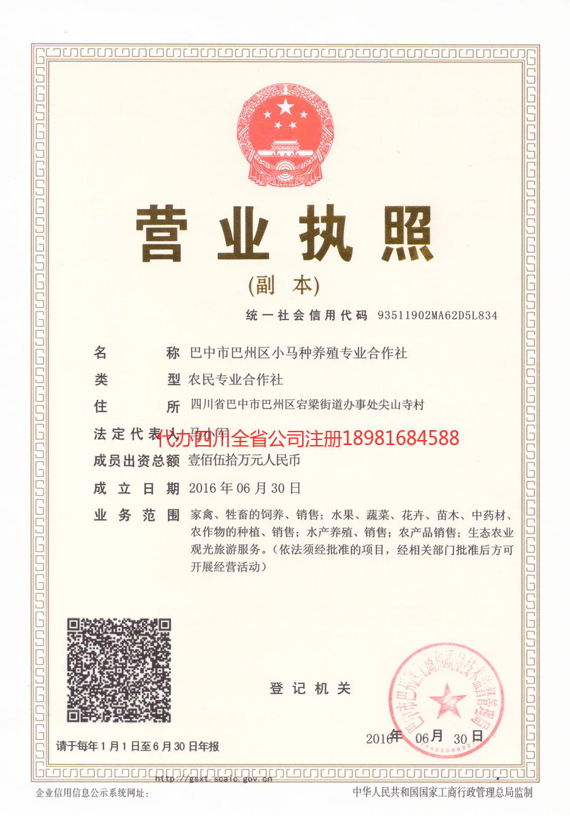 乌鲁木齐乌鲁木齐小马种养殖专业合作社